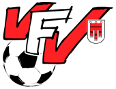 Verbandsbericht Fußball Logo